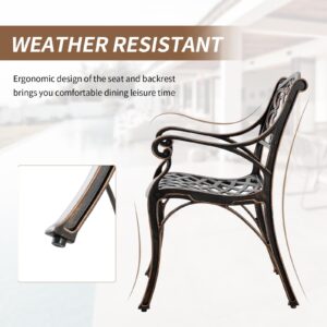 PATIO-IN 2 Pieces Patio Dining Chairs Cast Aluminum Bistro Chair Set, All Weather Outdoor Chair with Bronze MAluminum Frame for Outdoor Lawn Garden (Bronze)