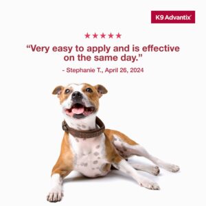 K9 Advantix Flea, Tick & Mosquito Prevention for Dogs 21-55 lbs. | Flea Drops for Large Dogs | Apply Monthly | 2 Treatments