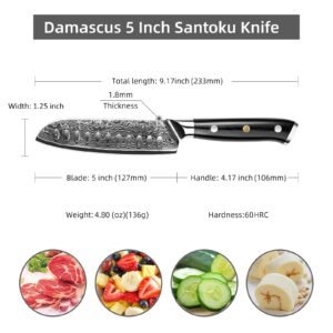 Sunnecko Damascus Chef Knife Japanese Santoku Knife 5 Inch Chopping Knife Vegetables, High Carbon Stainless Steel Knife with Gift Box