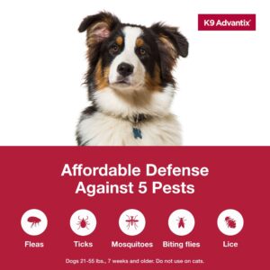 K9 Advantix Flea, Tick & Mosquito Prevention for Dogs 21-55 lbs. | Flea Drops for Large Dogs | Apply Monthly | 2 Treatments