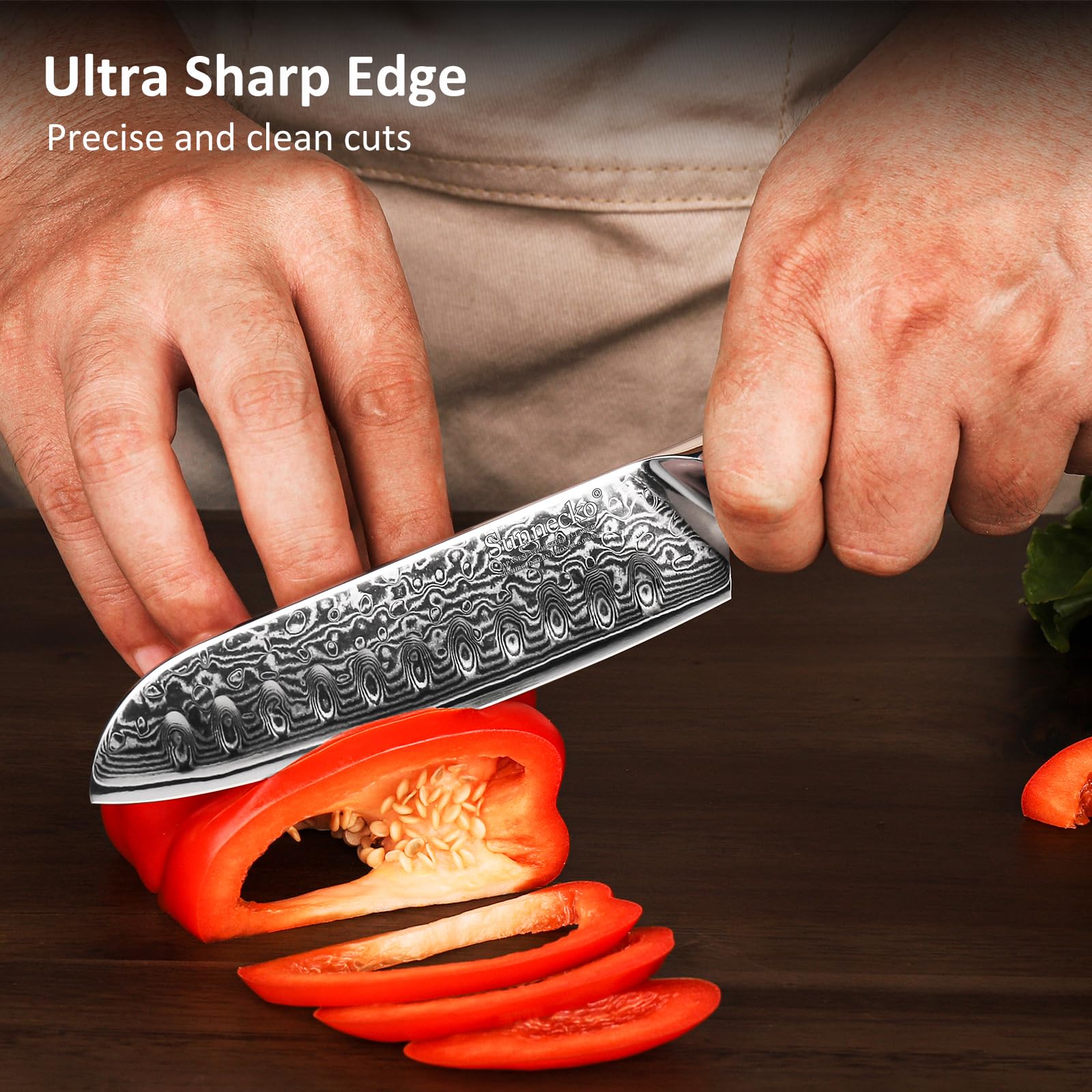 Sunnecko Damascus Chef Knife Japanese Santoku Knife 5 Inch Chopping Knife Vegetables, High Carbon Stainless Steel Knife with Gift Box