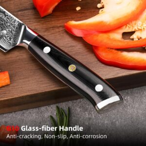 Sunnecko Damascus Chef Knife Japanese Santoku Knife 5 Inch Chopping Knife Vegetables, High Carbon Stainless Steel Knife with Gift Box