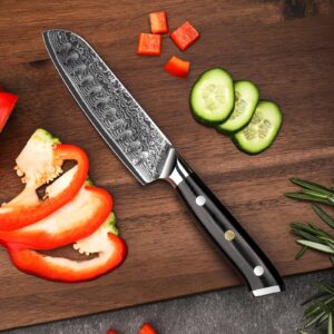 Sunnecko Damascus Chef Knife Japanese Santoku Knife 5 Inch Chopping Knife Vegetables, High Carbon Stainless Steel Knife with Gift Box