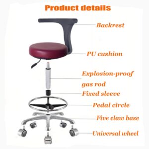 SFKLYU Dentist Chair Dental Stool with Lumbar Support Rolling Chair, Swivel Salon Chair for Drafting, Computer, Hospital, Clinic, Dental, Home,A2