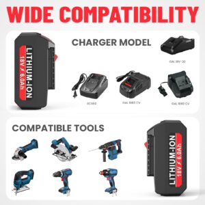 LabTEC 2-Pack 6.0Ah 18V Lithium Battery BAT609 and Battery Charger Kit Compatible with Bosch