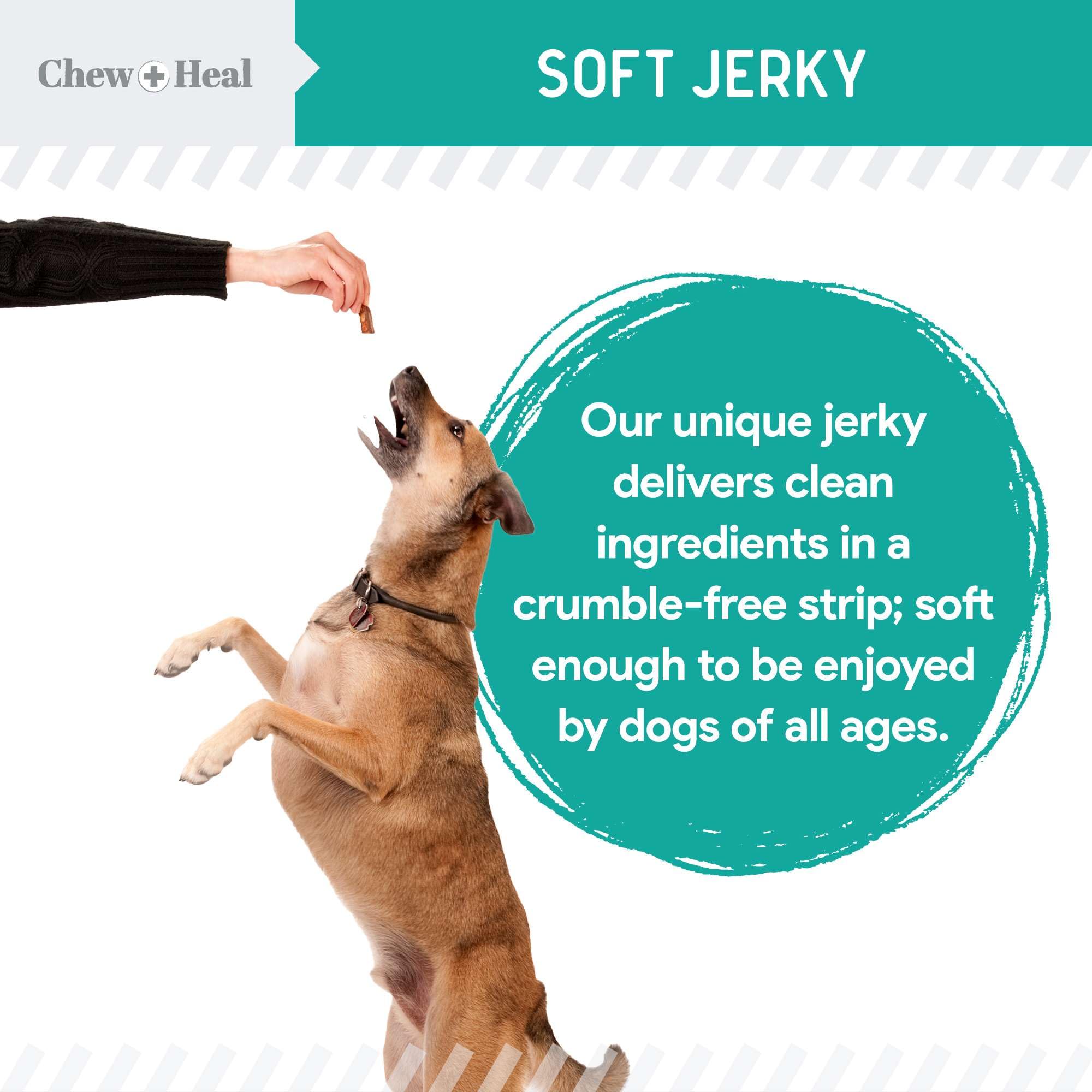 Chew + Heal Labs Probiotic Salmon Jerky Dog Treats - 5 oz of Salmon Jerky for Digestive Health - Made with Wild Alaskan Salmon, Apples, Pumpkin, Pea Protein, and More - Made in The USA