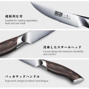 HOSHANHO Steak Knives Set of 6, Ultra Sharp 4.5 Inch Serrated Steak Knife Set, Japanese AUS-10 High Carbon Steel Kitchen Steak Knives with Ergonomic Handle