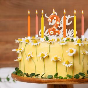 Flutesan 13 Pcs Birthday Candles Included 1 Pcs 2.4 x 1.3 Inches Daisy Flower Candle Birthday Candle and 12 Pcs Birthday Candles in Holders for Birthday Celebrations Party Decoration(Number 2)