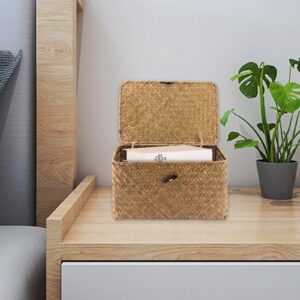 LEXININ Set of 3 Seagrass Shelf Baskets with Lids, Handwoven Seagrass Storage Bins Basket, Rectangular Woven Baskets Storage Box Container for Shelves, Home Decoration