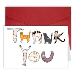 bhiosng moco paper funny cat thank you card for men women, cute cat thank you gift for him her, appreciation card thanks gift for friend teacher boss coworker, thank you card for cat mom dad