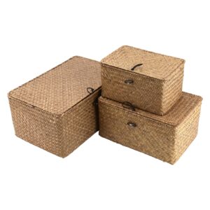 LEXININ Set of 3 Seagrass Shelf Baskets with Lids, Handwoven Seagrass Storage Bins Basket, Rectangular Woven Baskets Storage Box Container for Shelves, Home Decoration