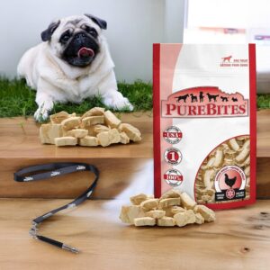 PureBites Chicken Dog Treats, 1.4oz - Crunchy & Nutritious Snacks, Dog Freeze Dried Chicken, Dried Chicken Treats for Dogs SS Pet Training Whistle, Dog Snacks Treats, [Pack of 3]