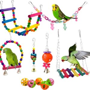 Bird Toys Parakeet Cage Accessories: 11pcs Bird Toy Swing Set for Bird Cage - Colorful Natural Toys Suitable for Parrot Cockatiel Budgie Conure Mynah Lovebird