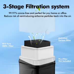 2 Pack 211+ Filter Replacement Compatible with 211+ Air Purifier, 2-In-1 H13 211+ Hepa Filter and Activated Carbon Filter