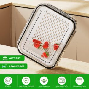 6 PCS Large Fruit Storage Containers for Fridge, Airtight Food Storage Containers with Removable Colander, Dishwasher & Microwave Safe, Berries Containers Keep Vegetables, Fruits Fresh Longer