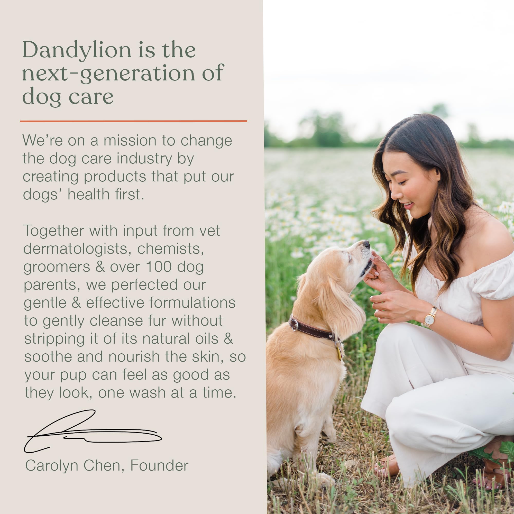 Dandylion Soft Paws | Paw Lotion with Brush | Dog Paw Pad Balm Hydrating Alternative | Vet-Approved, Lick-Safe & Fragrance-Free | pH-Balanced for Itchy, Dry, Cracked Paws, Small & Large Dogs 0.6 fl oz