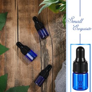 Didaey 100 Pcs Mini Glass Dropper Bottle Bulk 2 ml Mini Liquor Bottles Clear Essential Oil Dropper Small Blue Sample Containers Perfume Liquid Cosmetic Sample Vials with Cap for Traveling