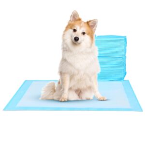 super-absorbent waterproof dog and puppy pet training pad, housebreaking pet pad,blue (28"x30"(100pcs))