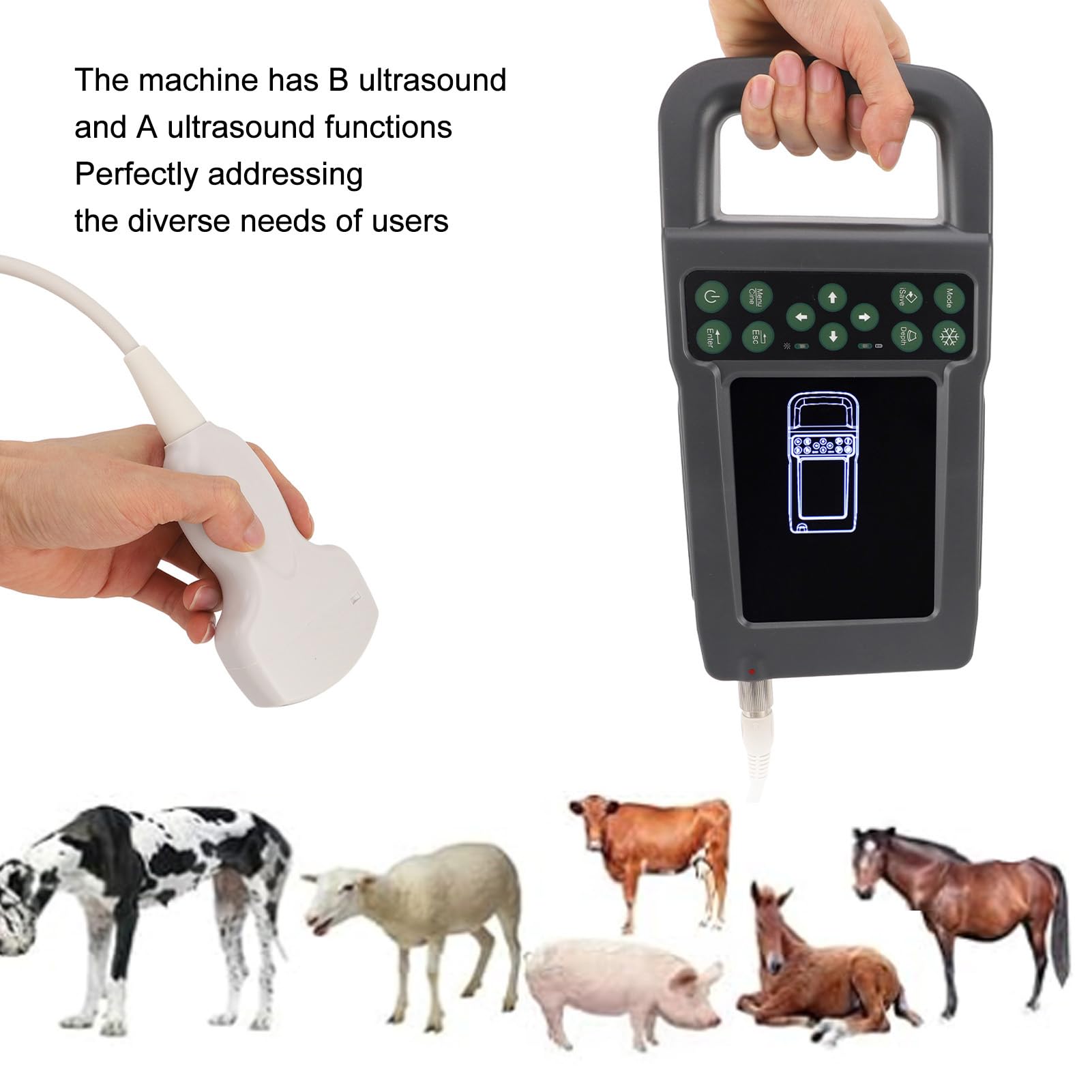 Veterinary Machine, HD LCD Display, Obstetric Report Function, Veterinary Machine, System Setting Functions, Pregnancy Test Screen Switching (US Plug 100-240V)