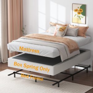 SHLAND Queen Box Spring 9 Inch Box Spring for Queen Bed, High Profile Metal Queen Size Box Springs with Fabric Cover, Easy Assembly, 3000 Lbs Max Weight Capacity