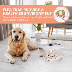 Flea Trap 2 Pack Flea Light Trap Indoor with 8 Glue Discs 6 Light Bulbs, Pest Control, Natural Insect Trap, Non-Toxic, Odorless Safe for Family (Pearl White)