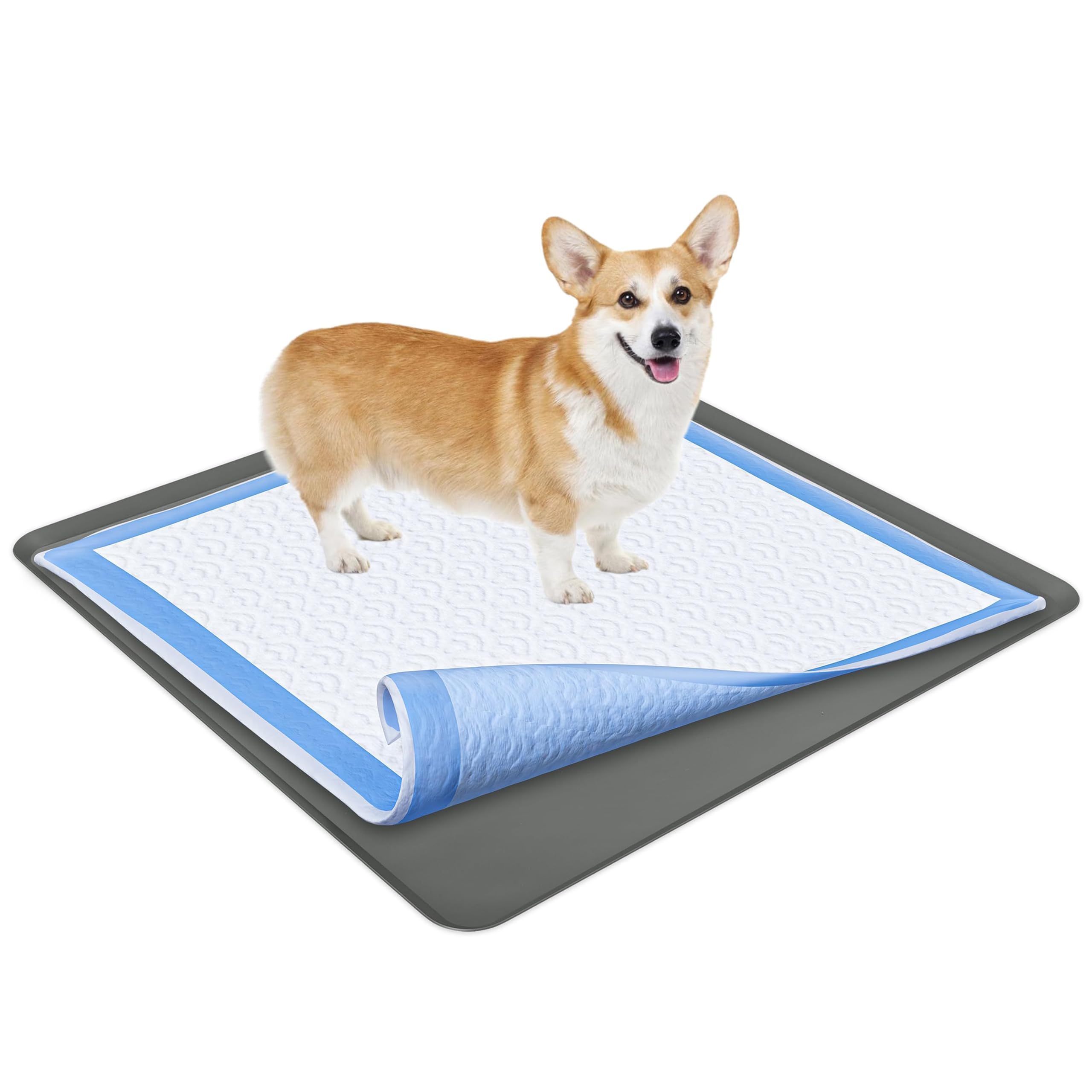 Generic Extra Large Dog Pee Pads 60 x 90cm 20 pad Count, Blue and White