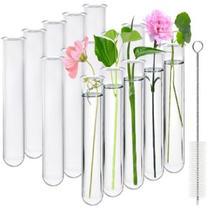 akamino 15 pcs clear test tubes for plant propagation station, acrylic test tubes for scientific experiments,30 ml round bottom test tubes for hydroponic flowers home office -0.78" diameter