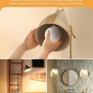 EDISHINE G25 LED Globe Light Bulbs, CRI90+ Makeup Bulbs, 5W Equivalent 25W, LED Vanity Light Bulbs for Bathroom, Makeup Mirror Light Bulbs, 2700K Warm White 450LM, E26 Base 8 Pack Non-dimmable