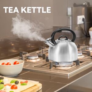 Foedo Whistling Stovetop Tea Kettle, 3.2Qt Food-Grade 304 Stainless Steel Teapot, Ergonomic Handle,Hot Water Quick Boil,All Metal Stove Kettle Rust Resistant and Durable,With Anti-Scald Towel(Silver)