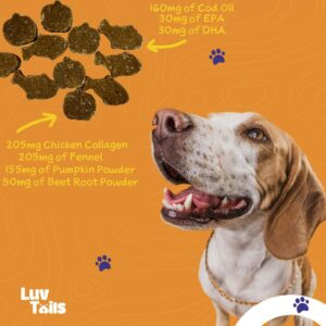 LuvTails Gut Booster Soft Chew Supplements for Dogs, Dog Digestive Support with Fennel, Pumpkin and Cod Oil Promotes Healthy Gut, 60 Chews