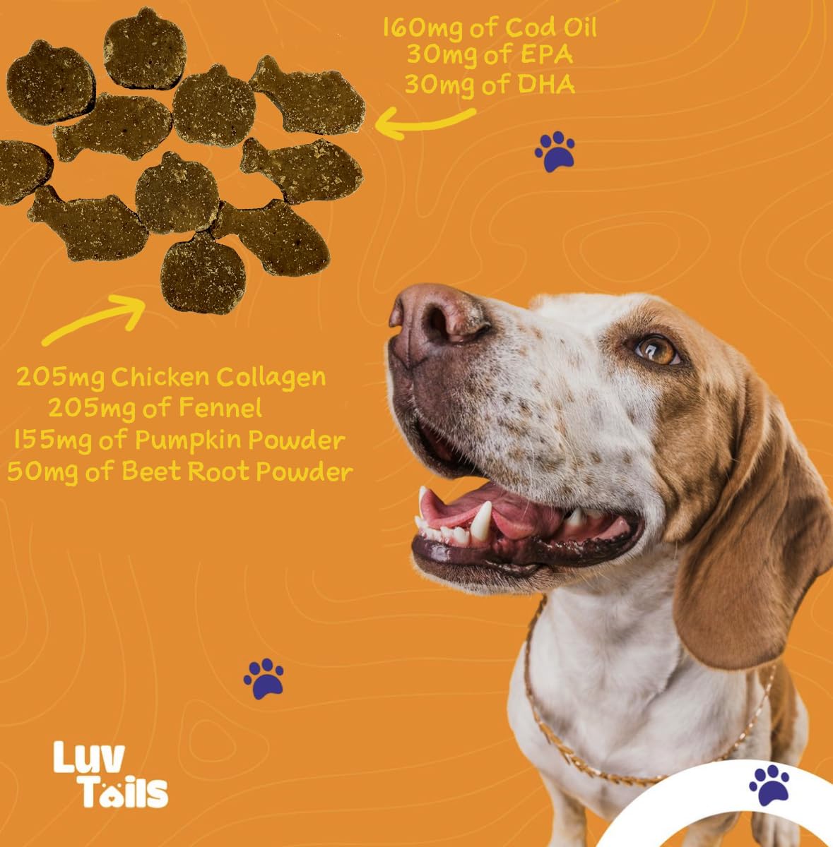 LuvTails Gut Booster Soft Chew Supplements for Dogs, Dog Digestive Support with Fennel, Pumpkin and Cod Oil Promotes Healthy Gut, 60 Chews