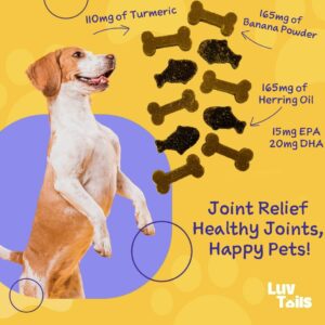 LuvTails Joint Relief Soft Chew Supplements for Dogs, Omega 3 for Dogs Chewable EPA, DHA Dog Omega 3 Supplement with Herring Oil, Turmeric, Banana Powder 60 Chews