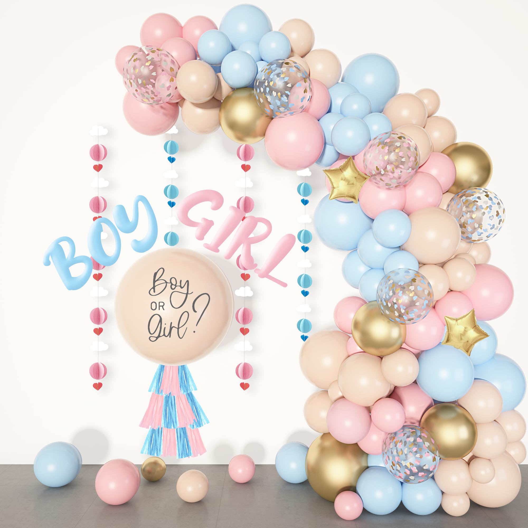 Ouddy Party Gender Reveal Decorations, Pastel Pink and Blue Nude Confetti Balloons Arch Kit Star Hanging Cloud Garland Paper Tassels He or She Boy or Girl Gender Reveal Baby Shower Party Supplies