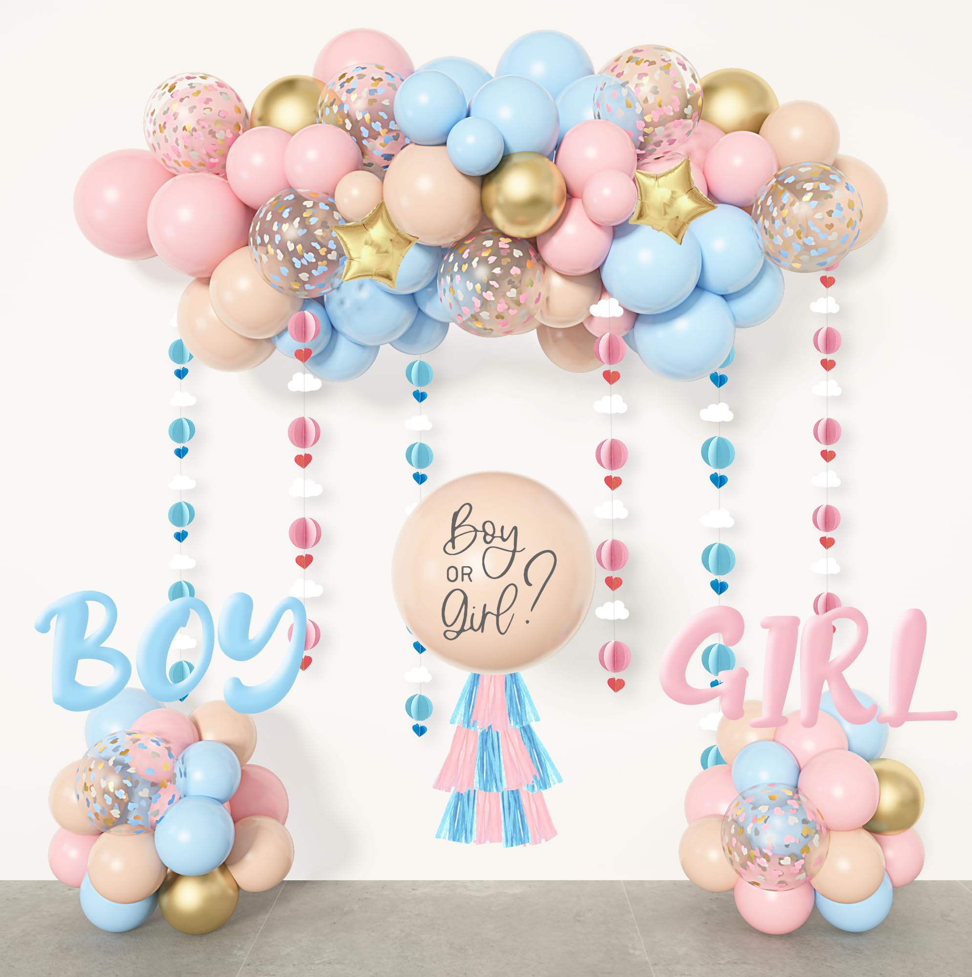 Ouddy Party Gender Reveal Decorations, Pastel Pink and Blue Nude Confetti Balloons Arch Kit Star Hanging Cloud Garland Paper Tassels He or She Boy or Girl Gender Reveal Baby Shower Party Supplies