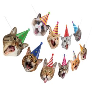 cat party decorations cat happy birthday banner cat face birthday garland funny cat banner for cat-themed party decor baby shower favor bunting supplies