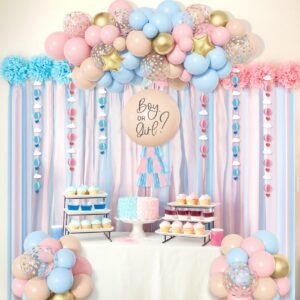 Ouddy Party Gender Reveal Decorations, Pastel Pink and Blue Nude Confetti Balloons Arch Kit Star Hanging Cloud Garland Paper Tassels He or She Boy or Girl Gender Reveal Baby Shower Party Supplies