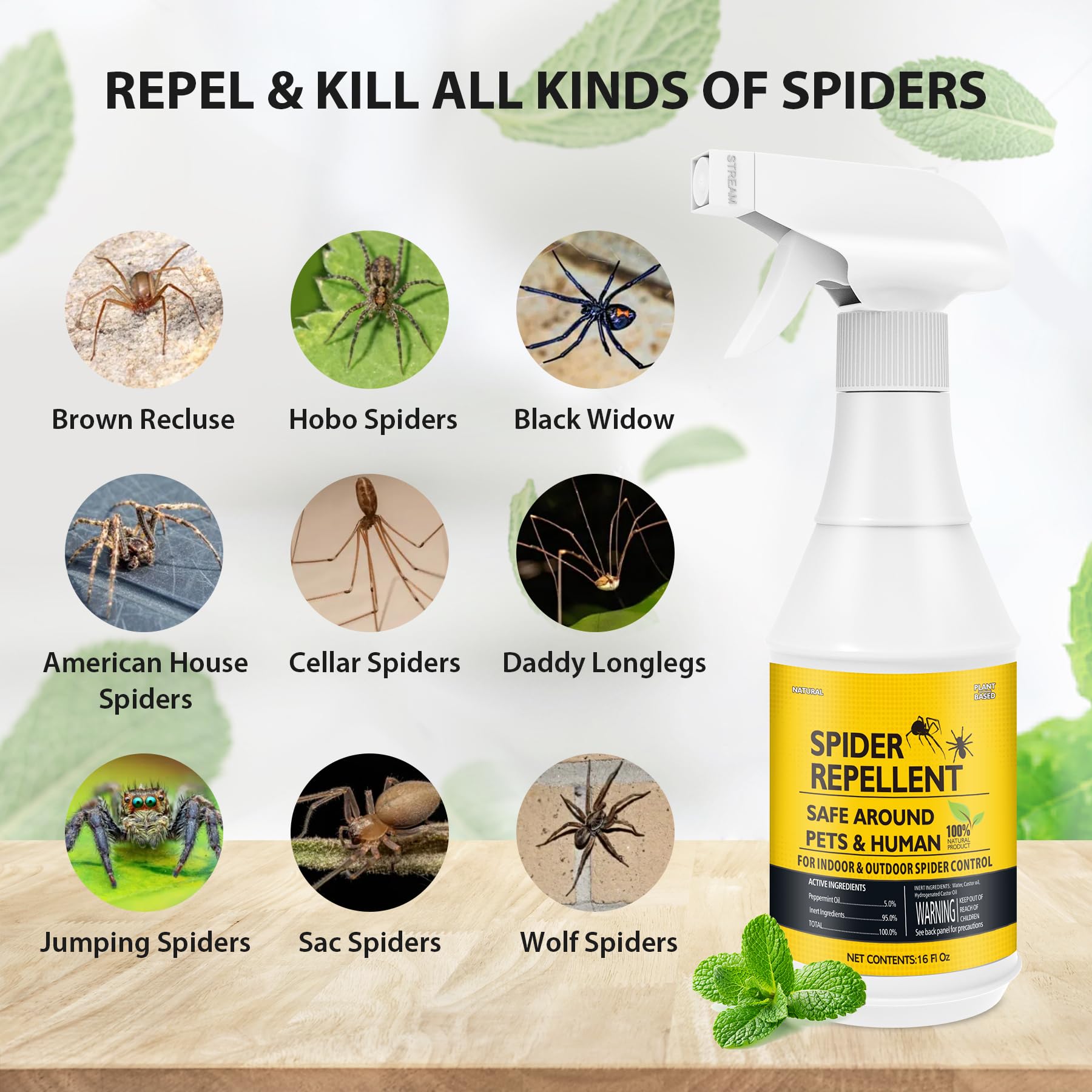 BugBai Spider Repellent for House Indoor Pet Safe, 16oz Peppermint Oil Spider Spray Outdoor Repels All Spiders, Natural Spider Killer to Get Rid of Spiders in House, Bedroom, Basement, Bathroom, Car