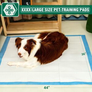 IMMCUTE Dog Pee Pads Extra Large, 36"x44", 30 Ct, Jumbo-Size Pee Pads for Dogs, Thicken Puppy Pads XL Pet Training Pads, Super Absorbent & Leak-Proof Pee Pads, Disposable Potty Pads for Dogs