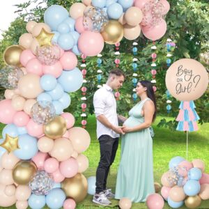 Ouddy Party Gender Reveal Decorations, Pastel Pink and Blue Nude Confetti Balloons Arch Kit Star Hanging Cloud Garland Paper Tassels He or She Boy or Girl Gender Reveal Baby Shower Party Supplies