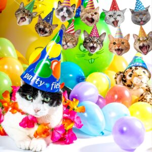 Cat Party Decorations Cat Happy Birthday Banner Cat Face Birthday Garland Funny Cat Banner for Cat-Themed Party Decor Baby Shower Favor Bunting Supplies