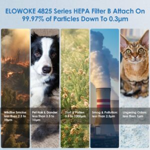 [ELOWOKE] 4-Pack 4825 HEPA Filter B Compatible with Germ-Guardian Air Purifier Filter Replacement for Model FLT4825 AC4825 AC4300 and more, 4X H13 HEPA Filters and 10X Carbon Pre-Filter