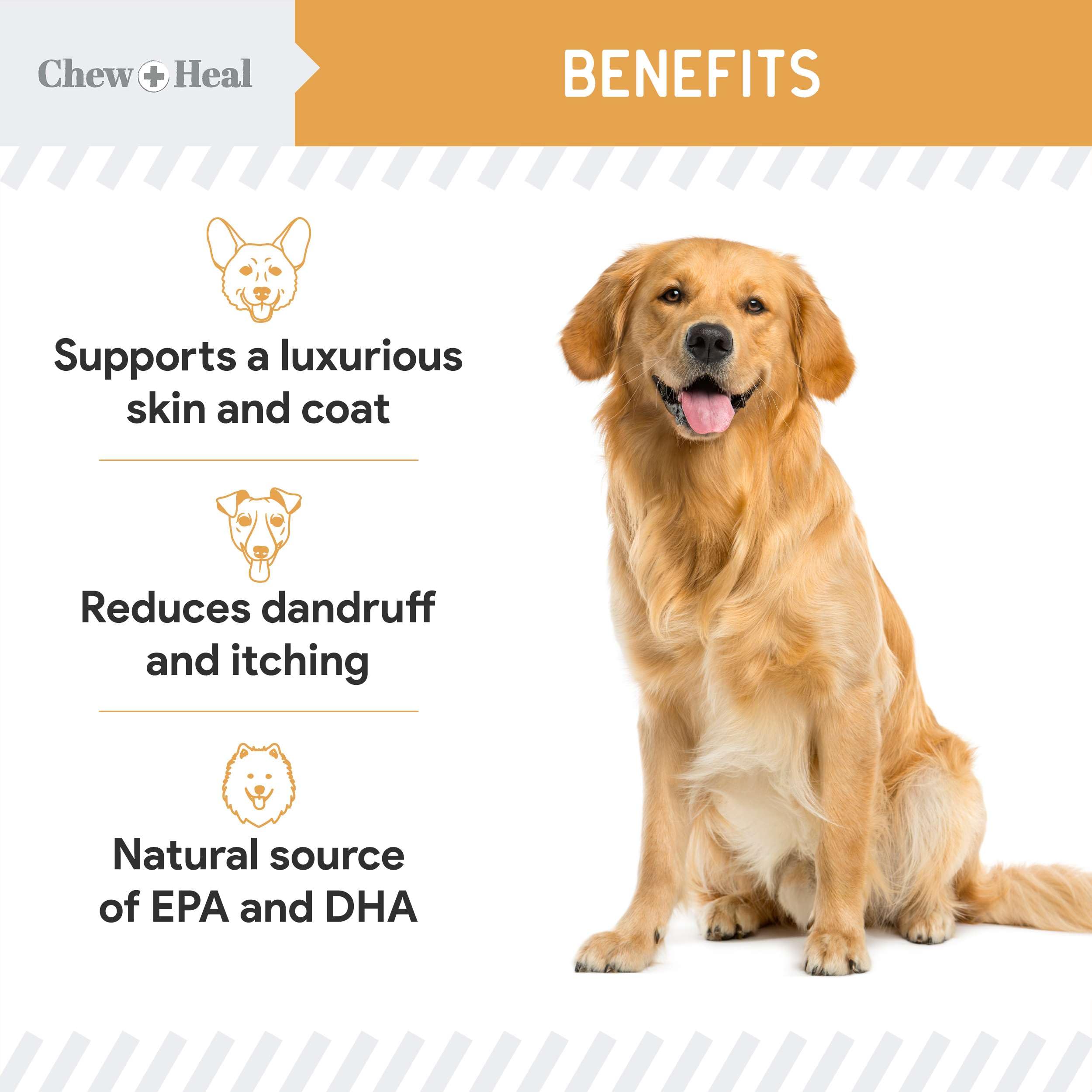 Chew + Heal Labs Omega Salmon Jerky Dog Treats - 5 oz of Soft Salmon Jerky for Skin and Coat - Made with Wild Alaskan Salmon, Flaxseed, Oat Flour, and More - Made in The USA