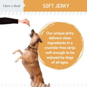 Chew + Heal Labs Omega Salmon Jerky Dog Treats - 5 oz of Soft Salmon Jerky for Skin and Coat - Made with Wild Alaskan Salmon, Flaxseed, Oat Flour, and More - Made in The USA