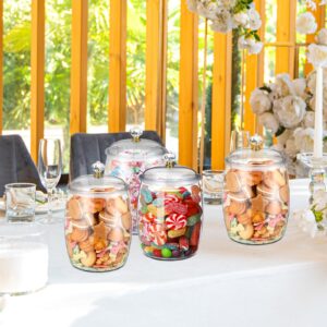 Nuogo Candy and Cookie Jar Plastic Jars with Lids Decorative Apothecary Jars Candy Buffet Containers Clear Airtight Food Storage Canister Home Decoration