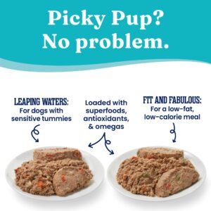 Solid Gold Wet Dog Food Variety Pack for Picky Eaters - Fit & Fabulous Chicken + Leaping Waters Chicken & Salmon Grain Free Canned Dog Food - Made with Real Protein for Sensitive Stomachs - 6 Pack