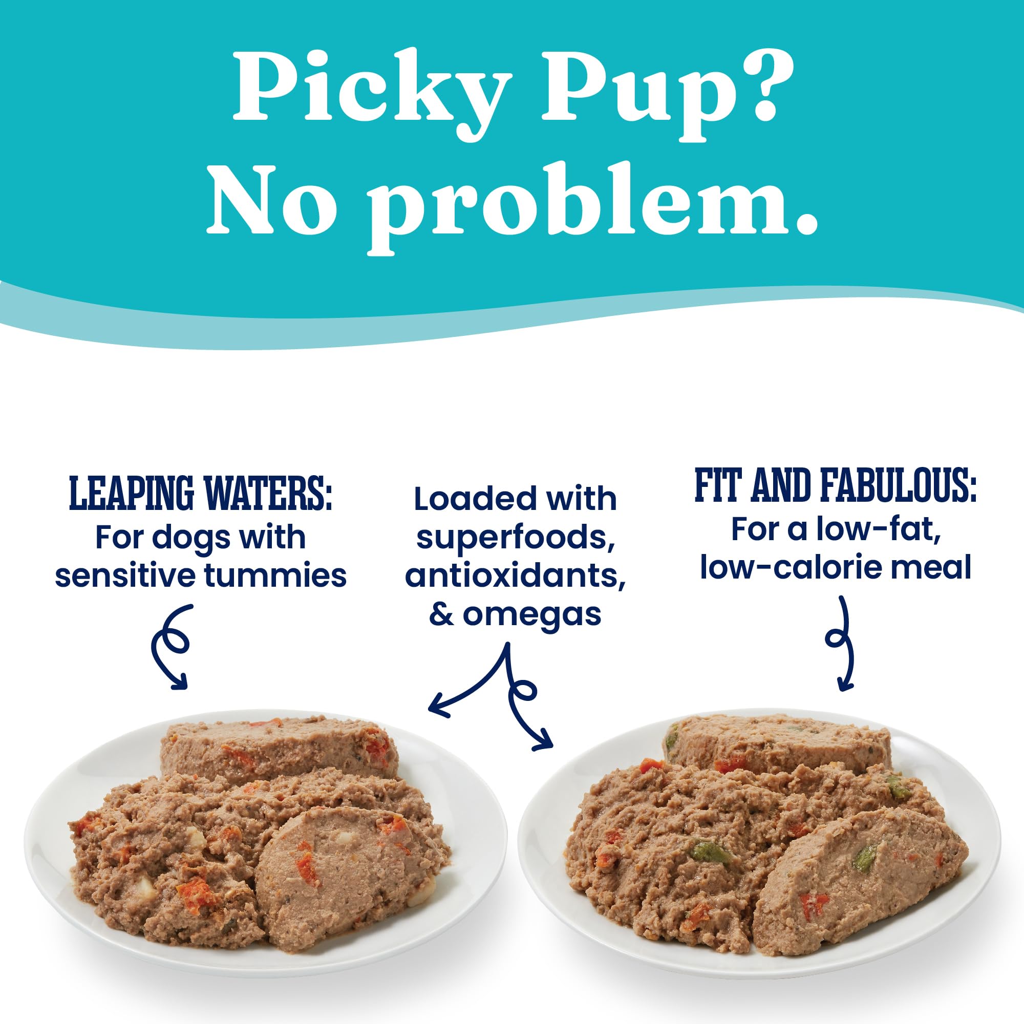 Solid Gold Wet Dog Food Variety Pack for Picky Eaters - Fit & Fabulous Chicken + Leaping Waters Chicken & Salmon Grain Free Canned Dog Food - Made with Real Protein for Sensitive Stomachs - 6 Pack