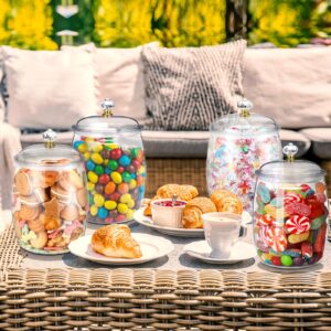 Nuogo Candy and Cookie Jar Plastic Jars with Lids Decorative Apothecary Jars Candy Buffet Containers Clear Airtight Food Storage Canister Home Decoration