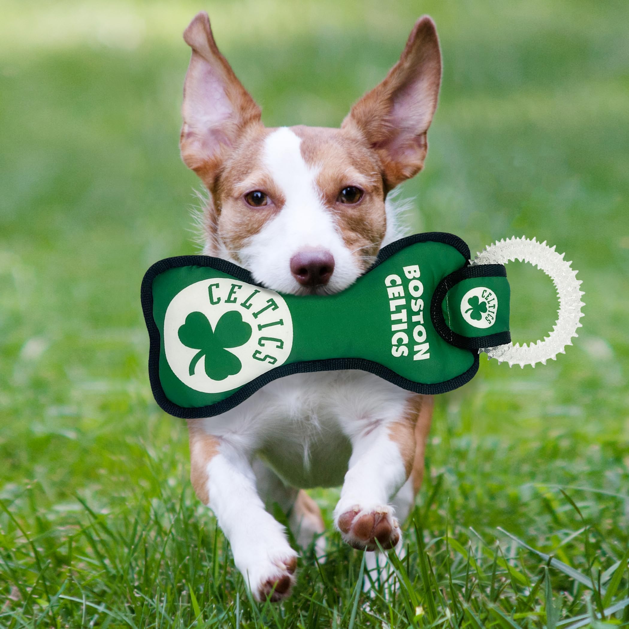 Pets First NBA Boston Celtics Dental Ring Dog TUG Toy with Squeaker. Tough PET Toy for Healthy Fun, Teething & Cleaning Pet's Teeth & Gums