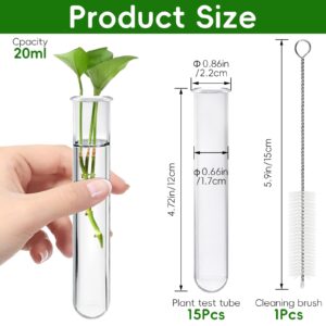 Worldity 15 Pcs Clear Test Tubes for Plant, 20 ml Plant Propagation Tube with Brush, Plastic Test Tubes for Hydroponic Plants, Flowers, Home Office Wall Decor (12 cm)