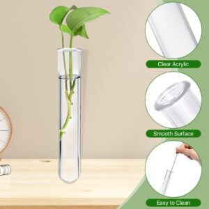 Worldity 15 Pcs Clear Test Tubes for Plant, 20 ml Plant Propagation Tube with Brush, Plastic Test Tubes for Hydroponic Plants, Flowers, Home Office Wall Decor (12 cm)